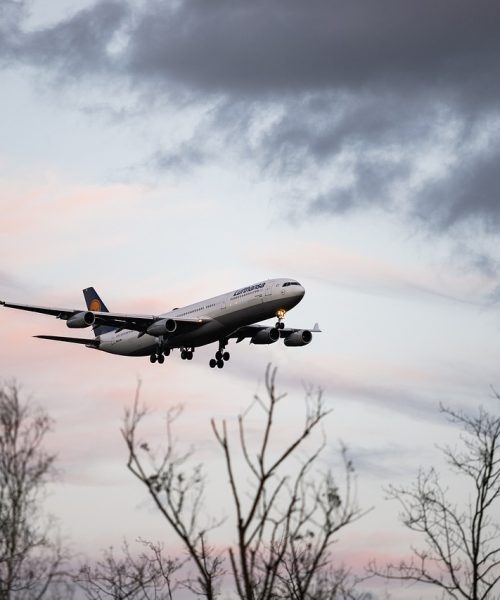 aircraft, airplane, flying, airport, travel, aviation, vacations, passenger aircraft, tourism